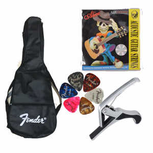 Guitar Accessories Pack of 4