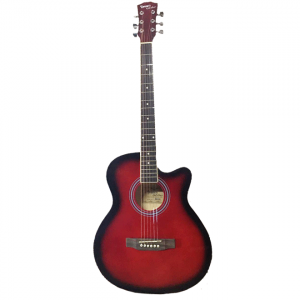 Acoustic Guitar 40'' Professional With Truss Rod