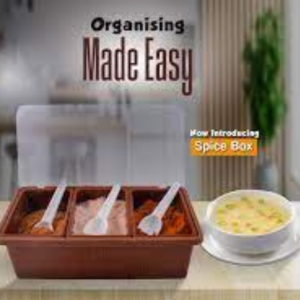 Multipurpose Spice Box For Spice Condiments Rectangle Shape Spice Box With Tray & Spoons